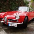 Alfa_Spider_Alsace.jpg