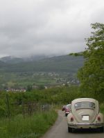 DSCN2641