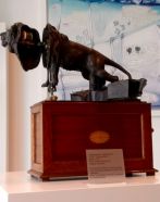 IMG 20170827 111443010 BURST001